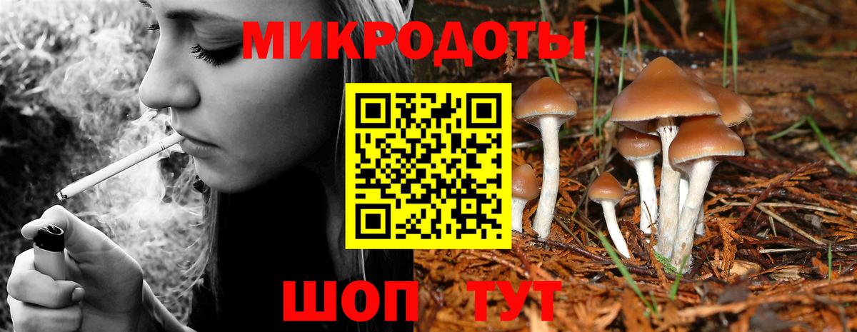 Псилоцибиновые грибы Cubensis  Вход с VPN  Кинель 